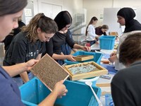 Kreativ gegen invasiv