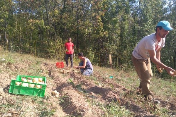 Landschaften und Beziehungen pflegen