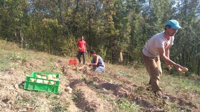 Landschaften und Beziehungen pflegen
