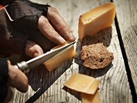 Auf der Suche nach Antworten auf die Ressourcenknappheit