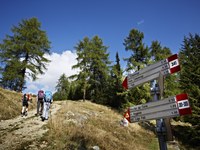 Datenmeer im Bergtourismus