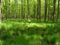 Stadt, Land und Berg im Gleichgewicht