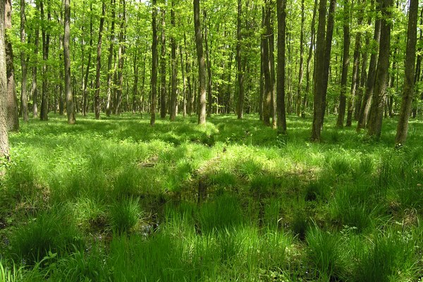 Stadt, Land und Berg im Gleichgewicht