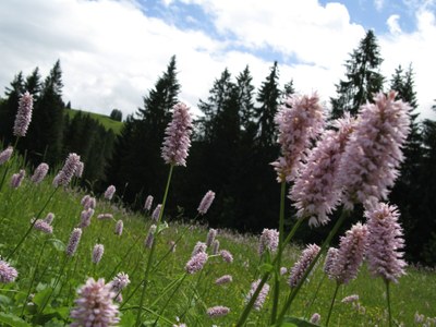 Weniger reden, mehr tun!