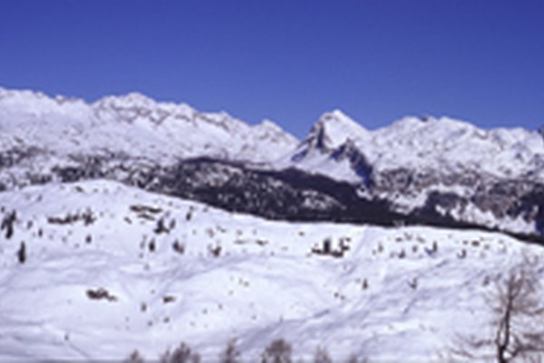 Appell der NGOs für den Triglav-Nationalpark