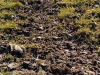 Internationale Tagung zur Erosionsproblematik