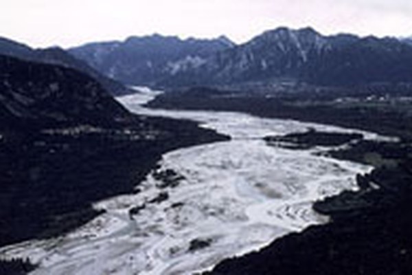 WissenschaftlerInnen setzen sich für den Tagliamento ein