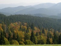 Karpatenkonvention in Kraft