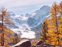 Biologische Vielfalt zahlt sich aus - Schutzgebiete bringen den Alpen ein gutes Image und helfen Mensch und Natur