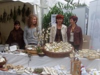 News aus einem DYNALP2 Projekt: Alchemilla - Die Seele der Pflanzen