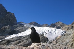Alpenwoche 2008 - Neues denken [in den Alpen]
