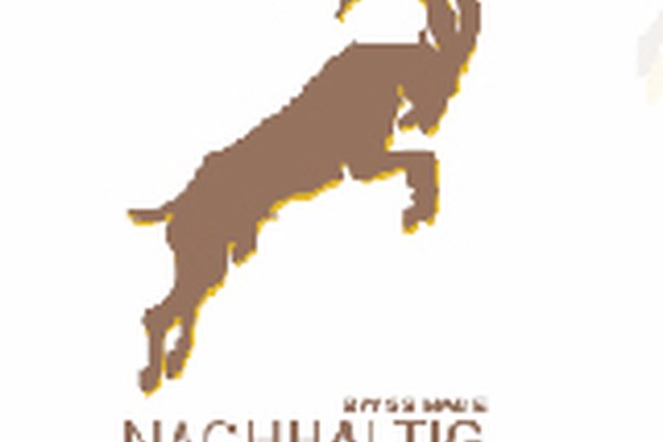 Steinbocklabel für Schweizer Jugendherbergen