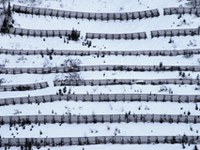 Ökonomische Bewertung von Schutzmassnahmen gegen Naturgefahren