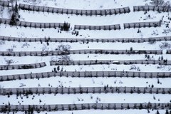 Ökonomische Bewertung von Schutzmassnahmen gegen Naturgefahren