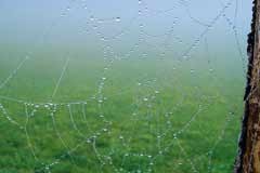 Vernetzte Partner vernetzen Lebensräume