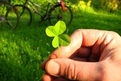 Umwelt- und gesellschaftsverträgliche Veranstaltungen