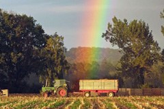 Neues von der SAVE Foundation