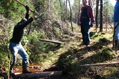 Holzfällen für die Moore
