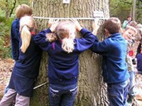 Gemeindenetzwerk: neue Wege beim Klimaschutz