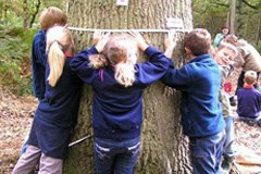 Gemeindenetzwerk: neue Wege beim Klimaschutz