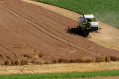 Klimawandel: Herausforderungen für die Landwirtschaft im Alpenraum