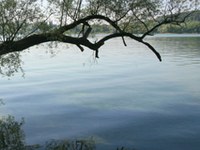 Staaten verbieten Fracking am Bodensee