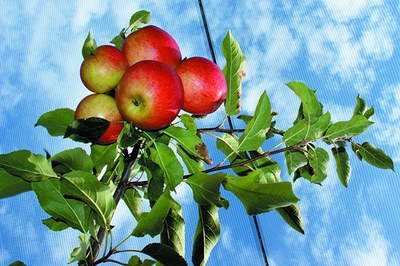 Aufwind für Bürgerinitiativen