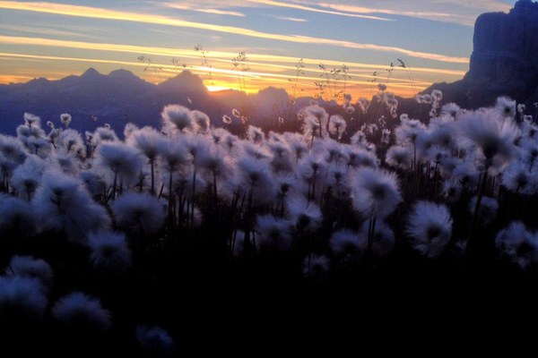 Besucherlenkung im Alpenraum