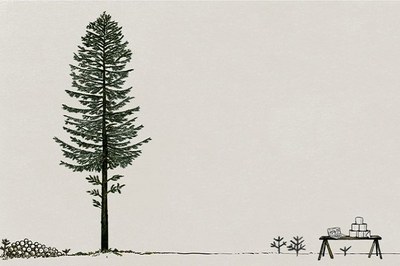 Ein Baum hat sieben Leben