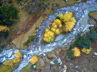 Gebirgsflüsse erhalten und renaturieren