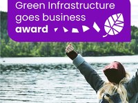 Green Infrastructure goes business