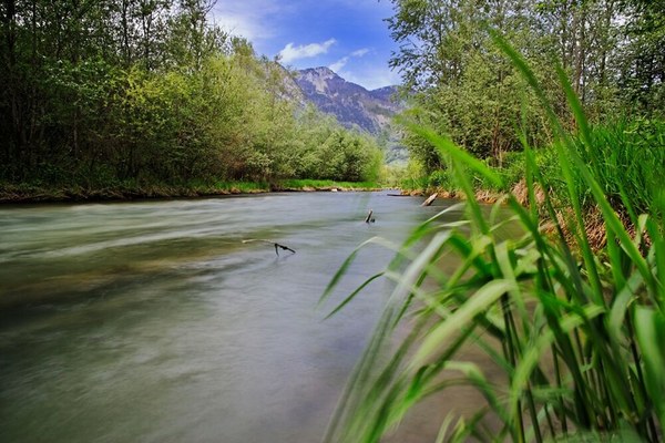 Grünes Licht für Renaturierung der EU