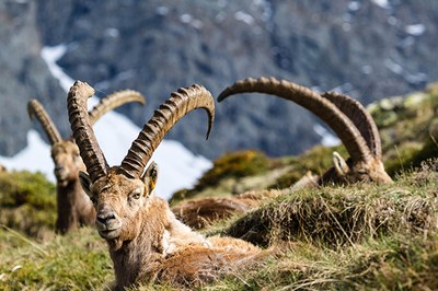 Nachhaltiger Tourismus von unten