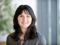 Standpunkt: Das Dilemma des Tourismus