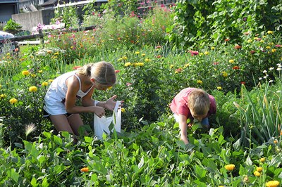 Was Naturschutz alles kann