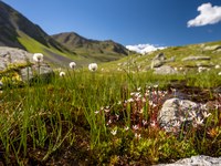 Wenig Nutzen, viel Zerstörung: Kritik an Wasserkraftplänen im Kaunertal