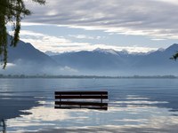 Wie gesund sind die Alpen noch?
