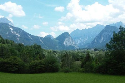 Wie Vielfalt verloren geht