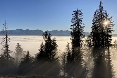 Alpine Landschaft ist nicht erneuerbar!