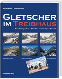 Gletscher im Treibhaus