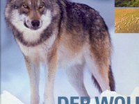 Der Wolf - Ein Raubtier in unserer Nähe