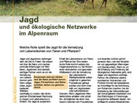 Jagd und ökologische Netzwerke im Alpenraum
