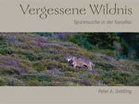 Vergessene Wildnis