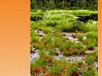 Natur und Landschaft 2/12