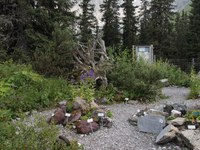 Vortrag: Heimische alpine Pflanzen und Biotope im Alpengarten bei der Lindauer Hütte