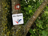 A voyage of discovery along the Via Alpina