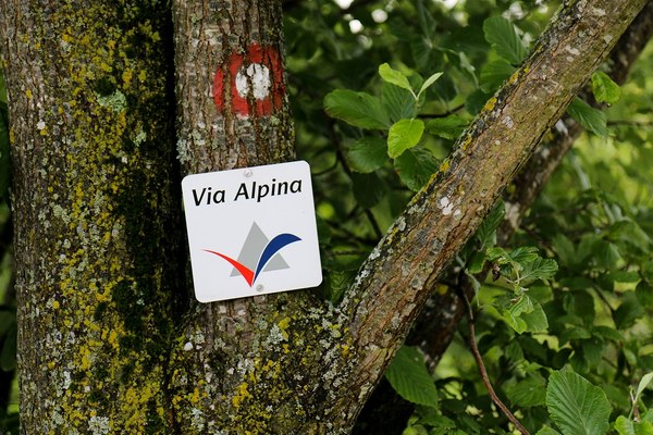 A voyage of discovery along the Via Alpina