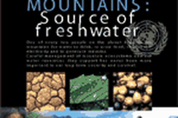 First International Mountain Day on December 11