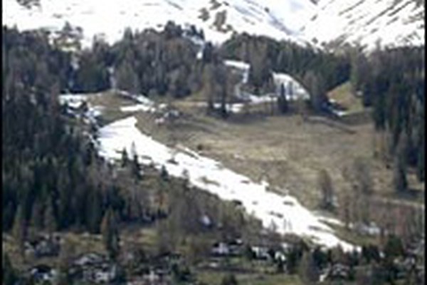 Snowcats and man-made snow as a threat to plant diversity