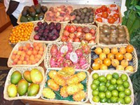 Rail tunnel ground water to heat a tropical greenhouse